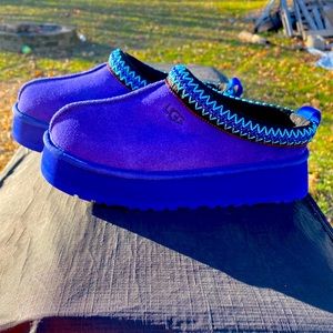 Blue platform Tasman Uggs